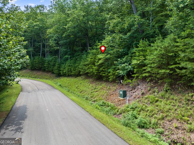 233 Stone Cliff Drive 233, Ellijay, GA 30536