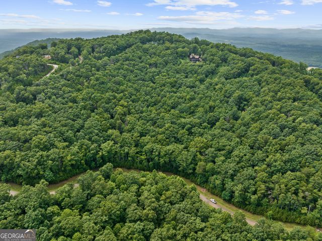 233 Stone Cliff Drive 233, Ellijay, GA 30536