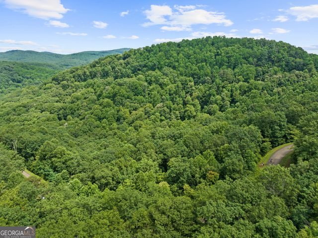 233 Stone Cliff Drive 233, Ellijay, GA 30536