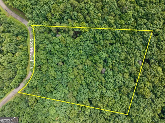 233 Stone Cliff Drive 233, Ellijay, GA 30536