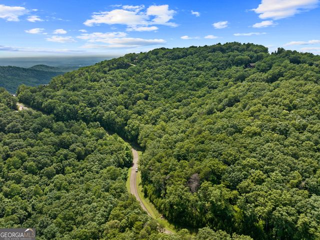 233 Stone Cliff Drive 233, Ellijay, GA 30536