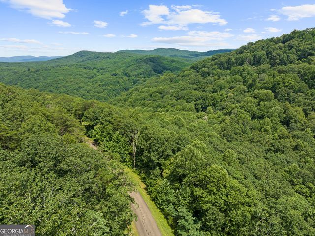 233 Stone Cliff Drive 233, Ellijay, GA 30536