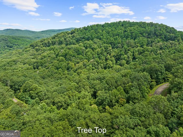 233 Stone Cliff Drive 233, Ellijay, GA 30536