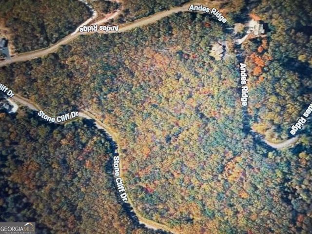 233 Stone Cliff Drive 233, Ellijay, GA 30536