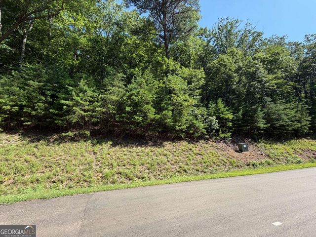 233 Stone Cliff Drive 233, Ellijay, GA 30536