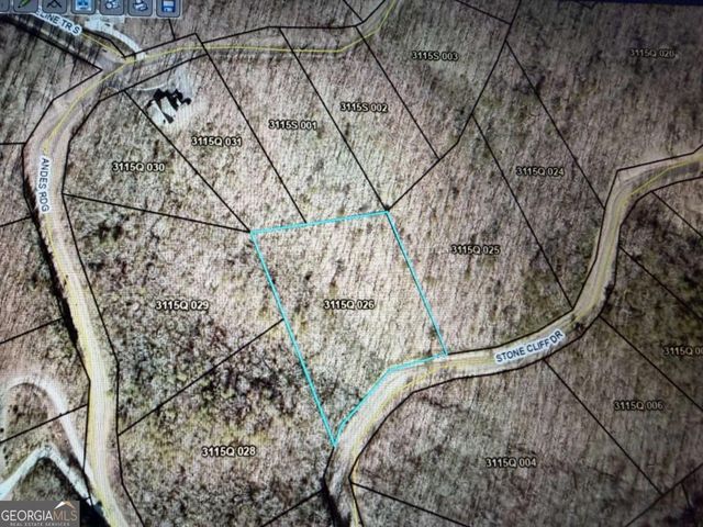 233 Stone Cliff Drive 233, Ellijay, GA 30536