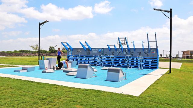 3507 Riley Street, Fate, TX 75087