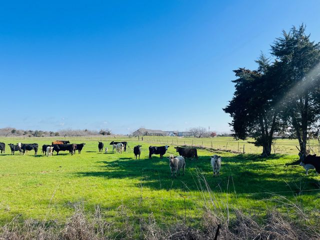 TBD Skrivanek ROAD Road, Ennis, TX 75119