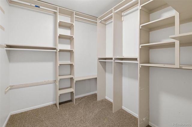4839 Liverpool Street, Denver, CO 80249
