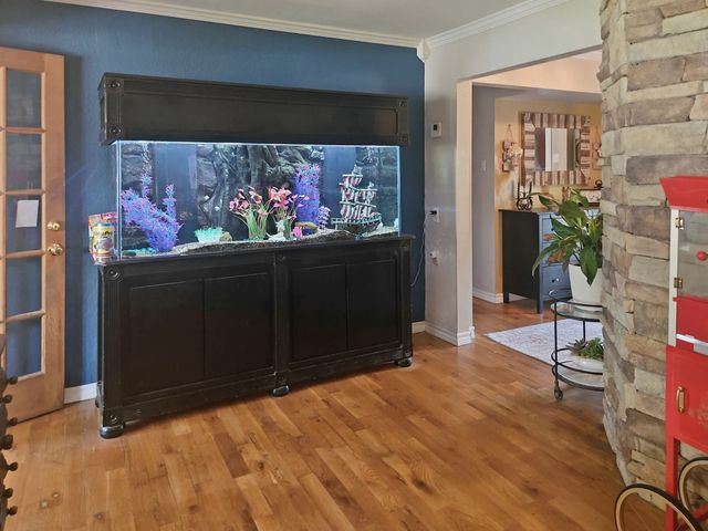 713 Ross Trail, Arlington, TX 76012