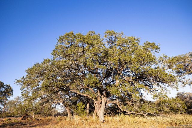 151 PR Arroyo Vista Lot 65, Somerset, TX 78069