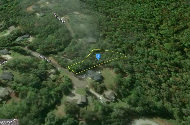 450 Appaloosa Drive, Ellijay, GA 30536
