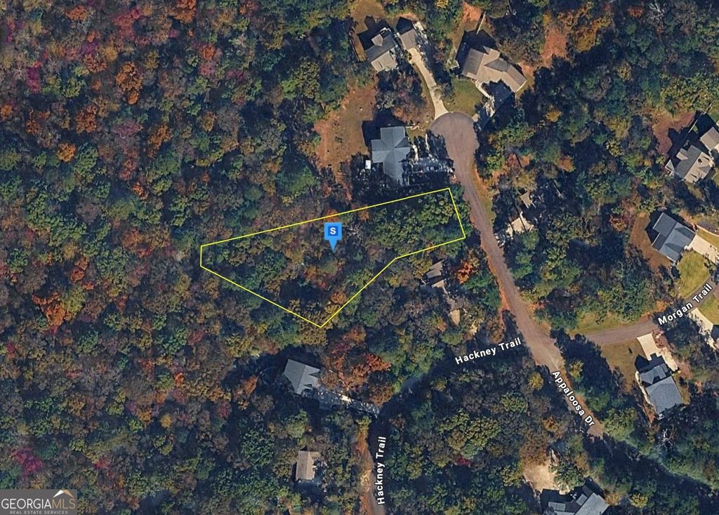 450 Appaloosa Drive, Ellijay, GA 30536