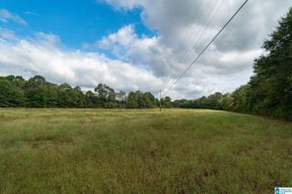 0 ALLRED ROAD, Lincoln, AL 35096