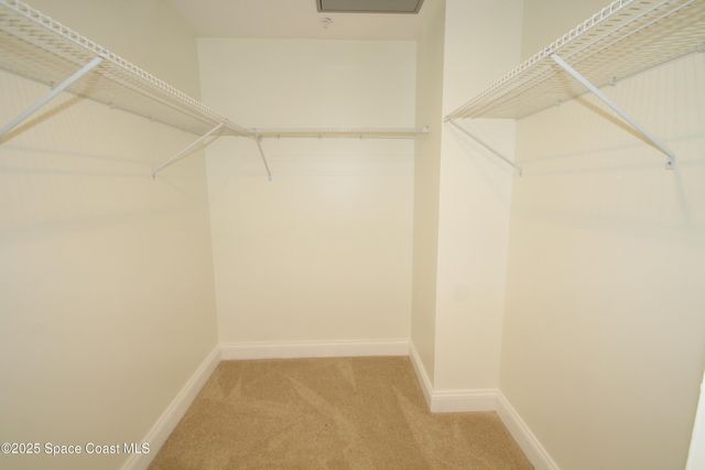 890 Vignoles Avenue NE, 3, Palm Bay, FL 32905