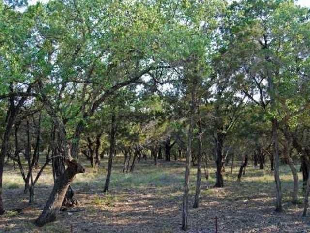 6805 Sunset Ridge WAY, Jonestown, TX 78645