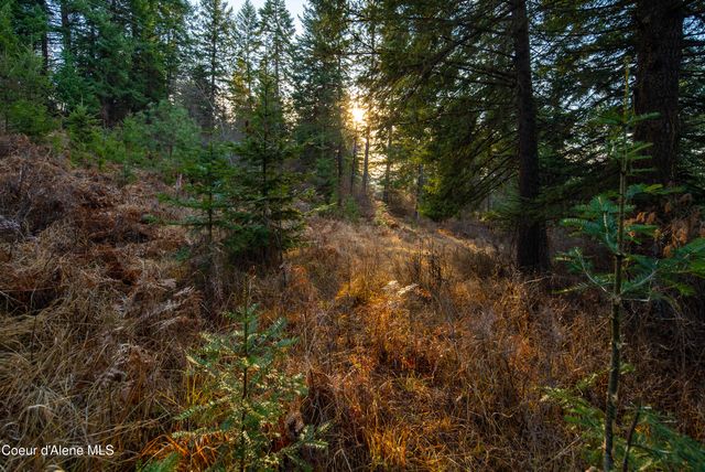 TBD Sunnyside Rd, Coeur D'alene, ID 83814