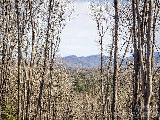 676 Tea House Drive 902, Asheville, NC 28803