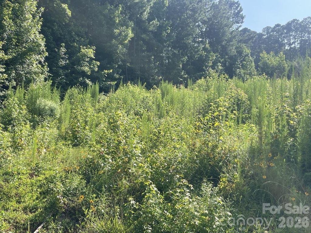 0 Ski Pond Road, New London, NC 28127