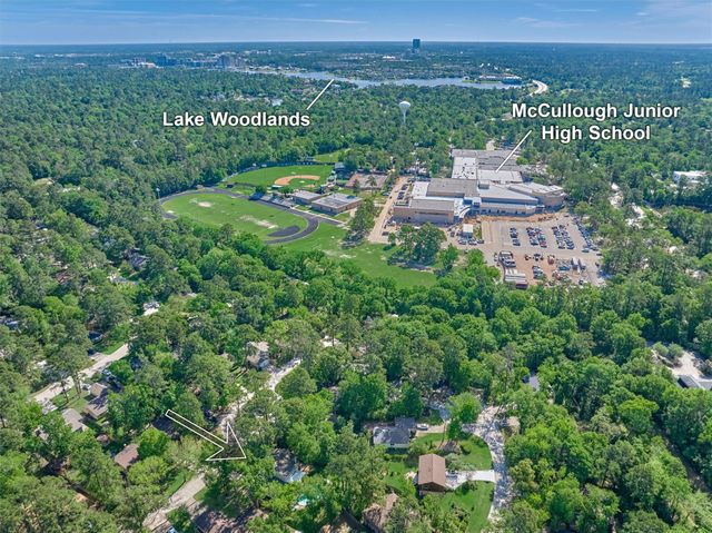 9 Pineash Court, The Woodlands, TX 77381