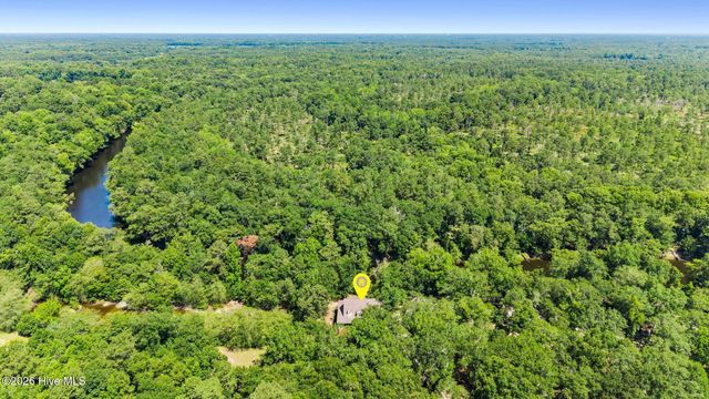 561 White Tail Lane, Willard, NC 28478