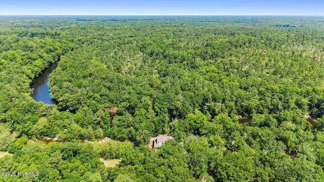 561 White Tail Lane, Willard, NC 28478