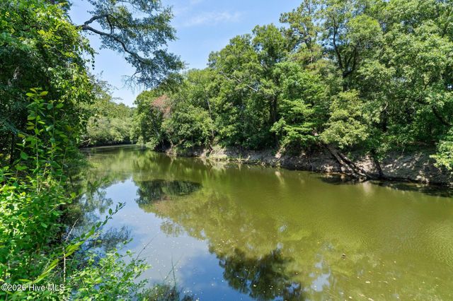561 White Tail Lane, Willard, NC 28478