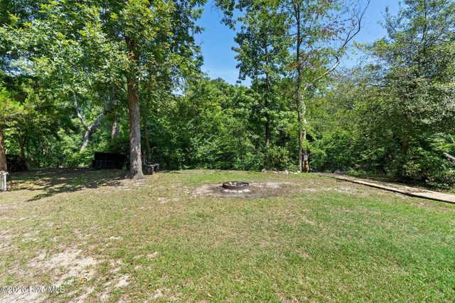 561 White Tail Lane, Willard, NC 28478