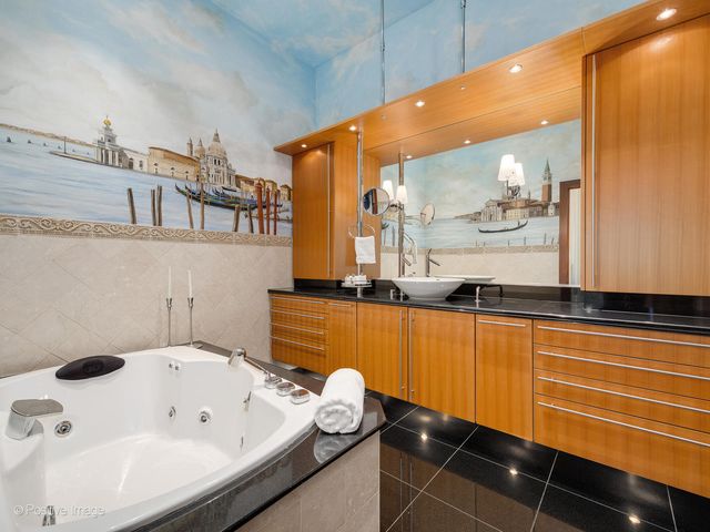 333 W Hubbard Street 1006, Chicago, IL 60654