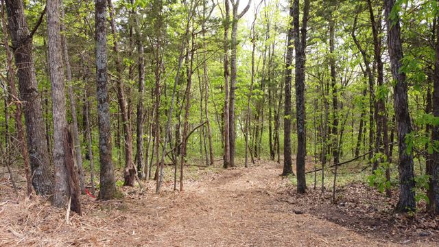 0 Rock Hill Rd, Readyville, TN 37149