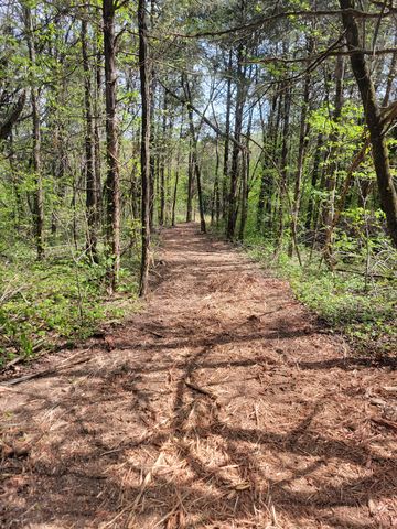 0 Rock Hill Rd, Readyville, TN 37149
