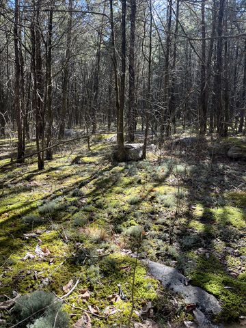 0 Rock Hill Rd, Readyville, TN 37149