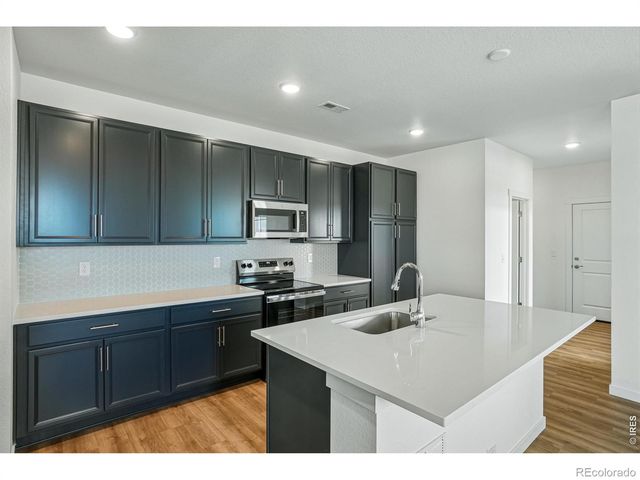 4516 Burl Street, Timnath, CO 80547