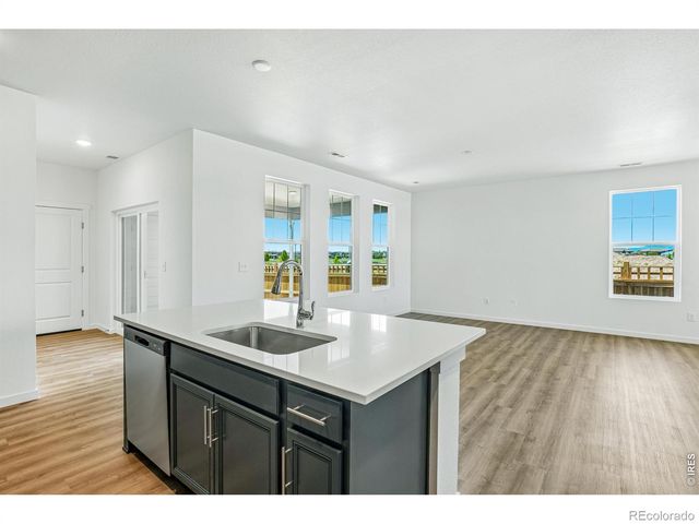 4516 Burl Street, Timnath, CO 80547