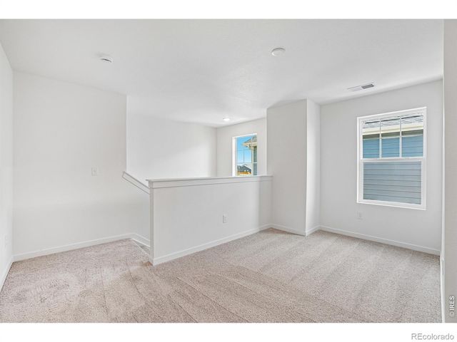 4516 Burl Street, Timnath, CO 80547