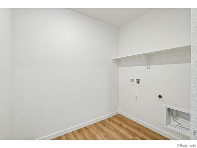 4516 Burl Street, Timnath, CO 80547