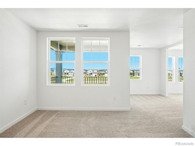 4516 Burl Street, Timnath, CO 80547