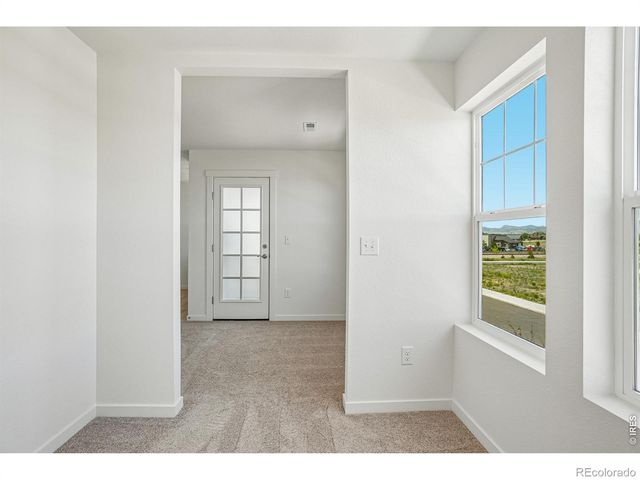 4516 Burl Street, Timnath, CO 80547