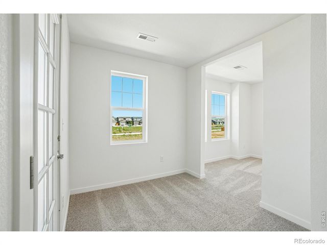 4516 Burl Street, Timnath, CO 80547
