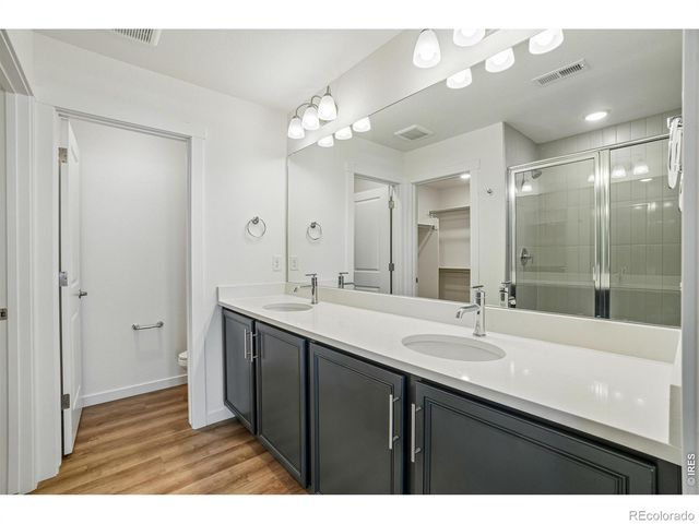 4516 Burl Street, Timnath, CO 80547