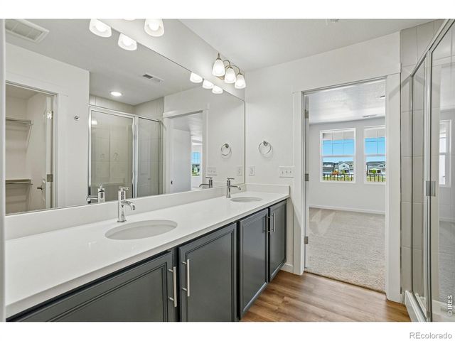 4516 Burl Street, Timnath, CO 80547