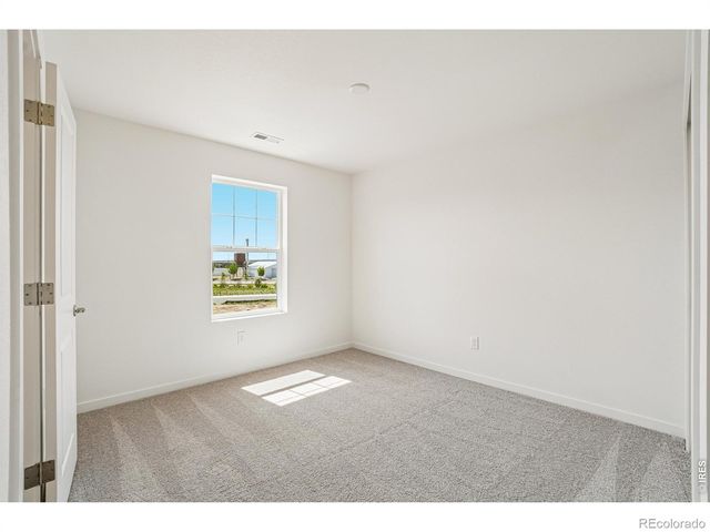4516 Burl Street, Timnath, CO 80547