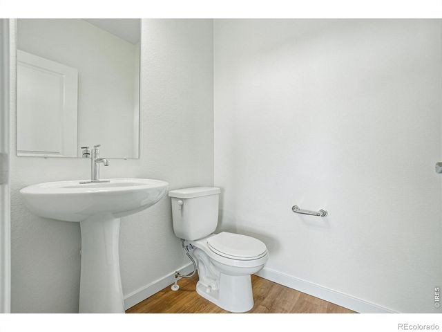 4516 Burl Street, Timnath, CO 80547
