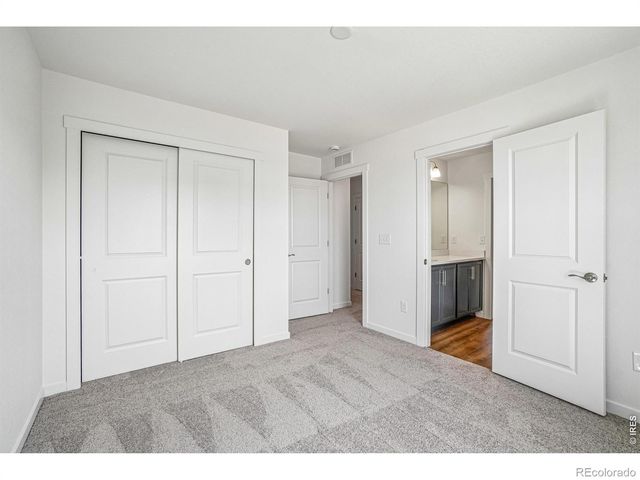 4516 Burl Street, Timnath, CO 80547