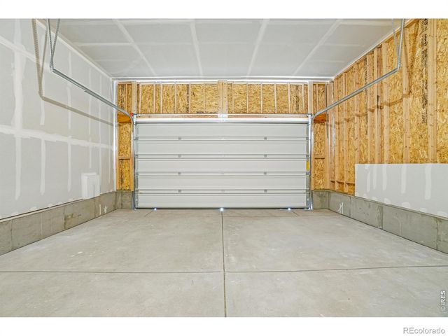 4516 Burl Street, Timnath, CO 80547