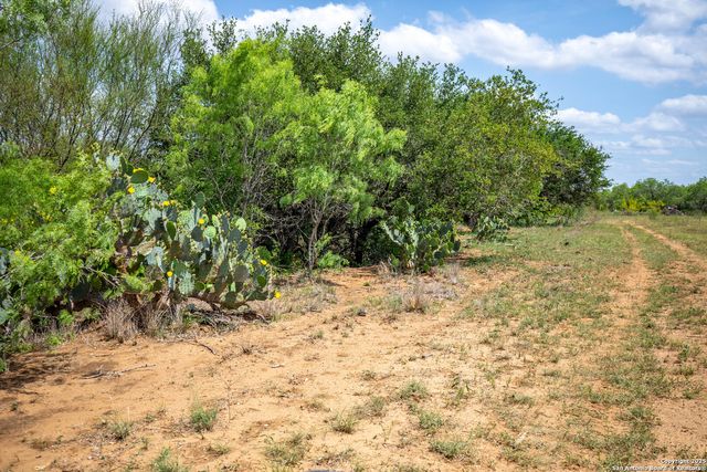 500 PR Goose Creek Ln, Jourdanton, TX 78026