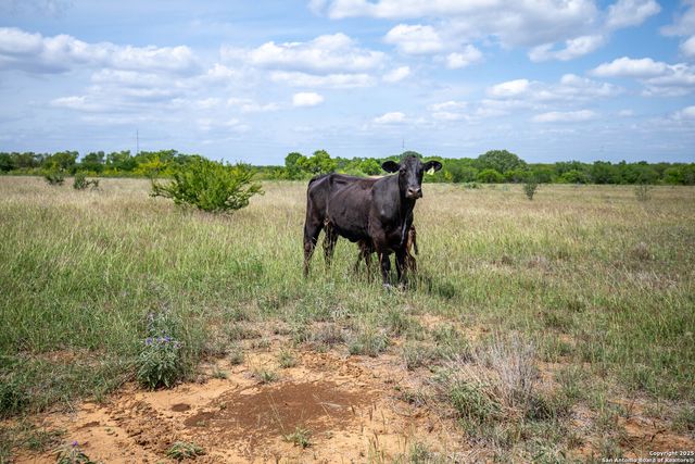 500 PR Goose Creek Ln, Jourdanton, TX 78026