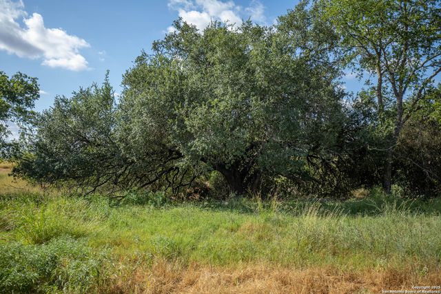 500 PR Goose Creek Ln, Jourdanton, TX 78026