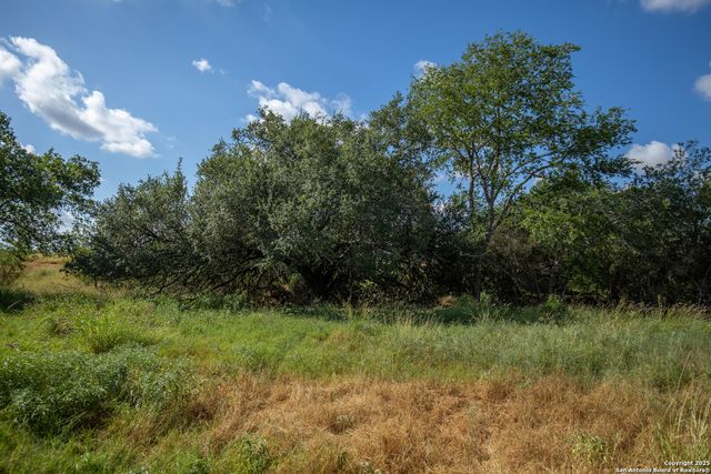 500 PR Goose Creek Ln, Jourdanton, TX 78026