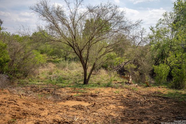 500 PR Goose Creek Ln, Jourdanton, TX 78026